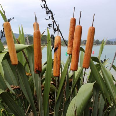 MACROCARPA GARDEN REEDS: 45mm