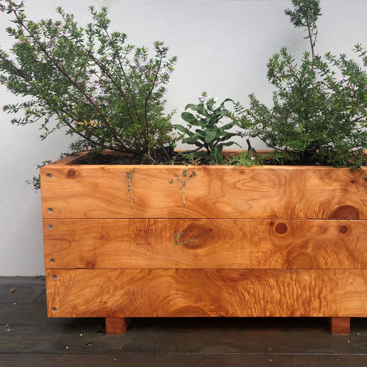 MACROCARPA PATIO PLANTER BOX: 375x470x1.0M