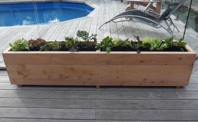 MACROCARPA PATIO PLANTER BOX: 375x470x1.0M