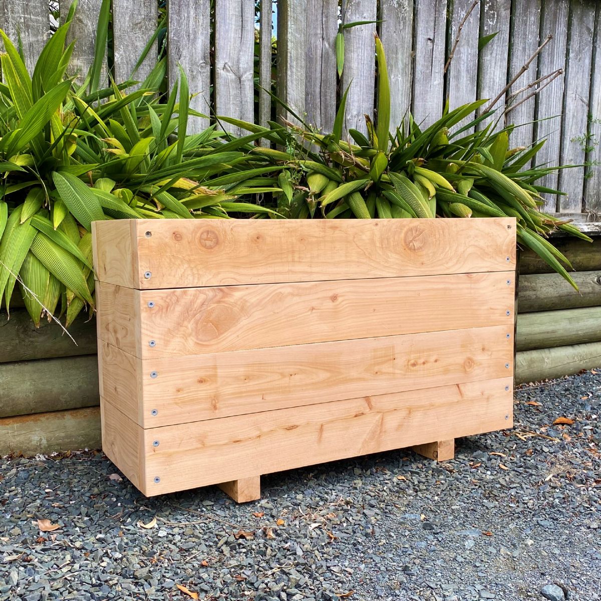 MACROCARPA PATIO PLANTER BOX: 375x610x1.0M