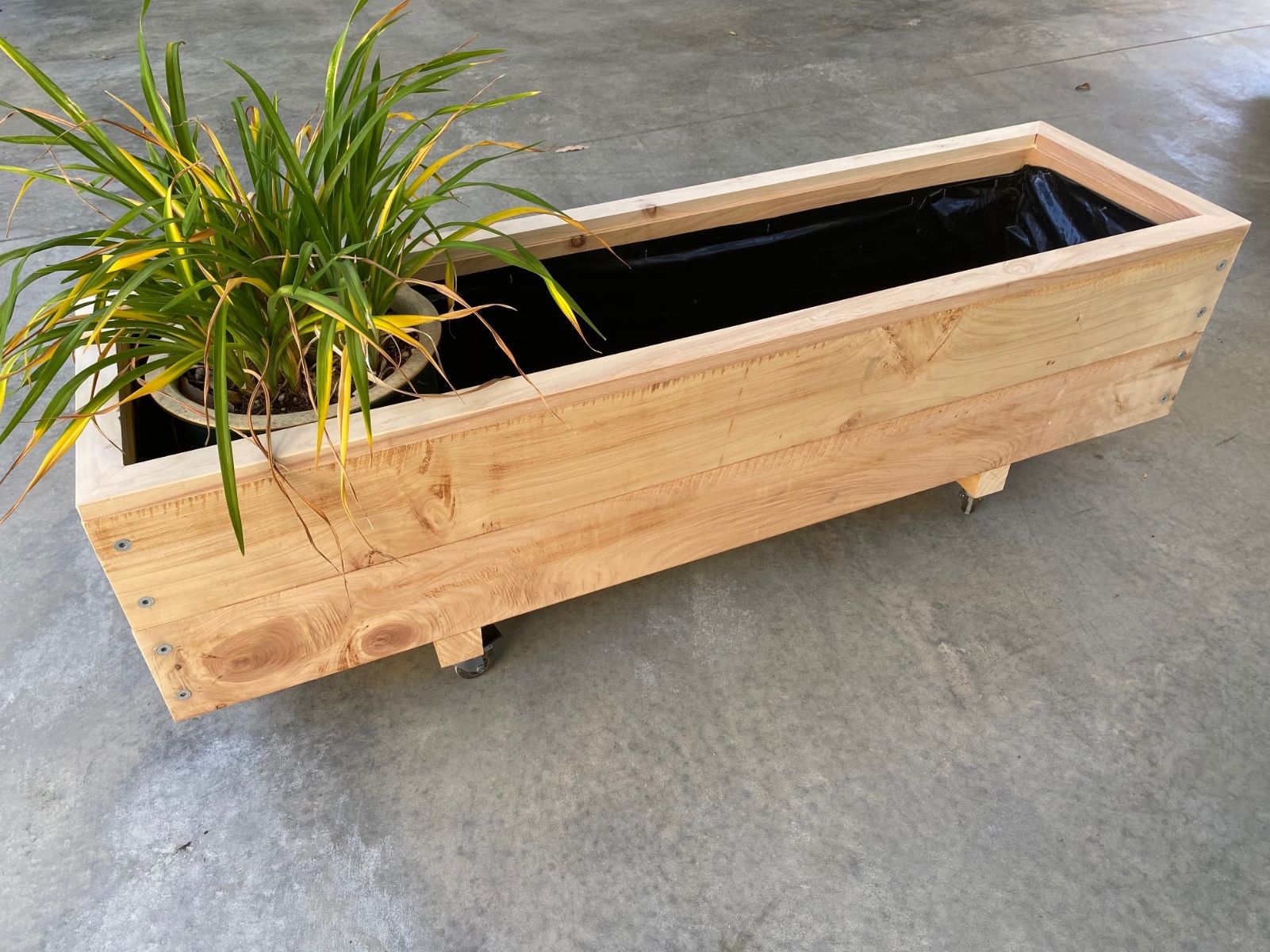 MACROCARPA PATIO PLANTER BOX: 375x330x1.0M