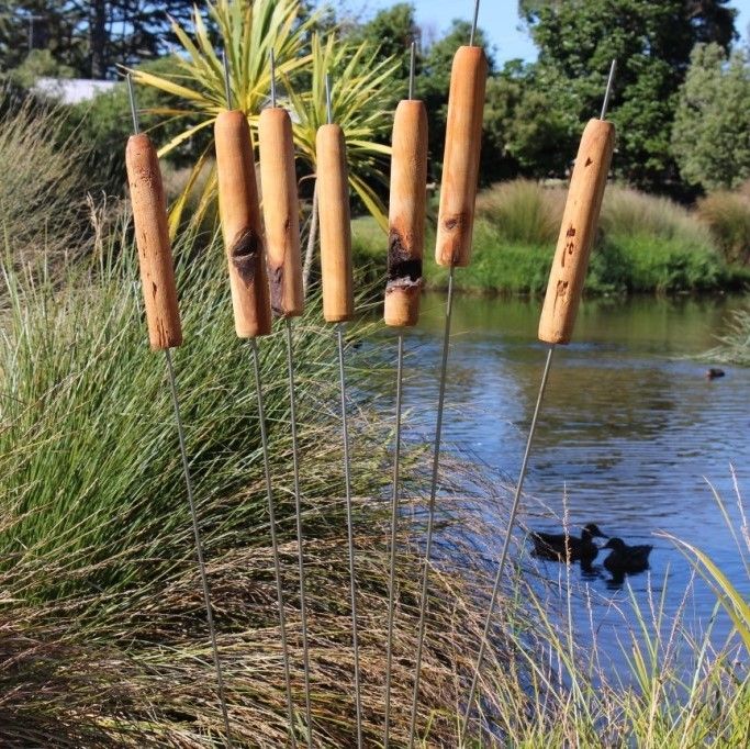 MACROCARPA GARDEN REEDS: 45mm