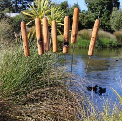MACROCARPA GARDEN REEDS: 45mm