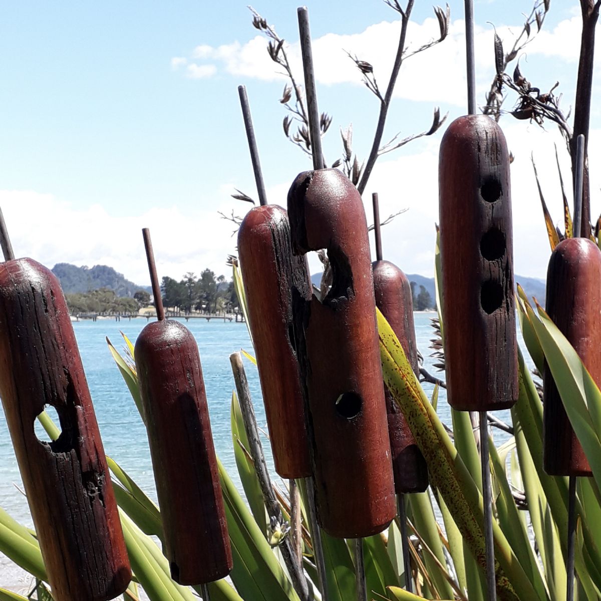 JARRAH GARDEN BULRUSHES: 75mm