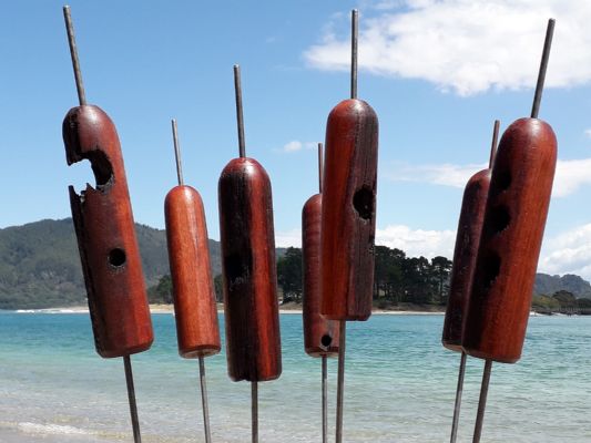 JARRAH GARDEN BULRUSHES: 75mm
