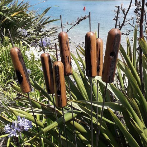 EUCALYPTUS GARDEN BULRUSHES: 75mm