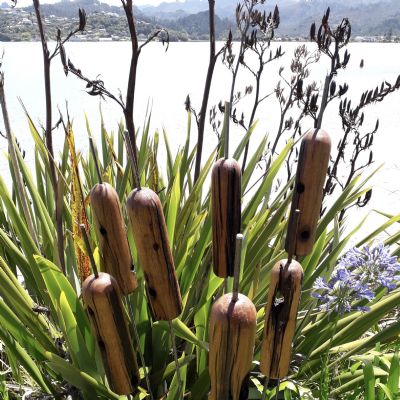 EUCALYPTUS GARDEN BULRUSHES: 75mm